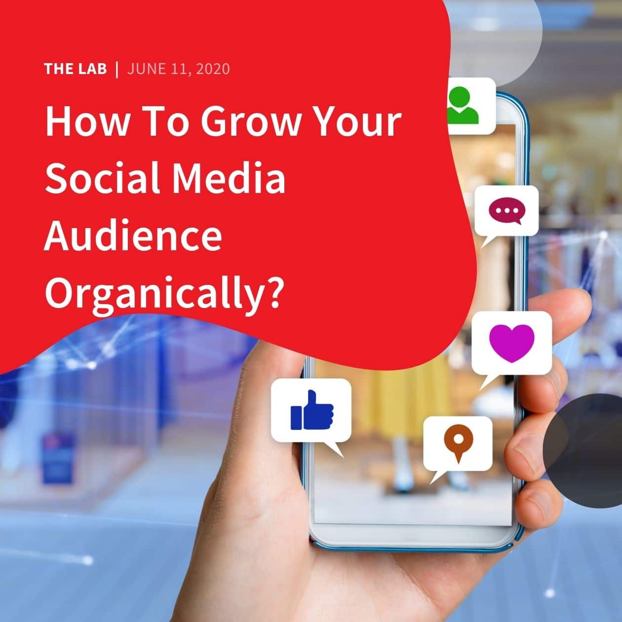 How to Grow Your Social Media Audience Organically? - Accentuate