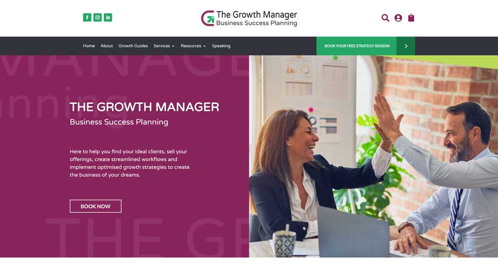 Website screenshot of The Growth Manager with business planning and high-five image.