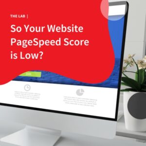 So Your Website PageSpeed Score is Low?