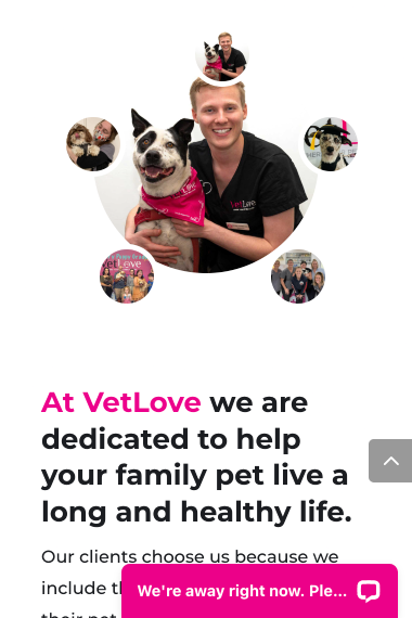 vetlove.com .au mobile