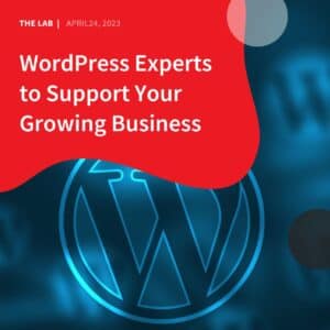 WordPress Experts to Support Your Growing Business