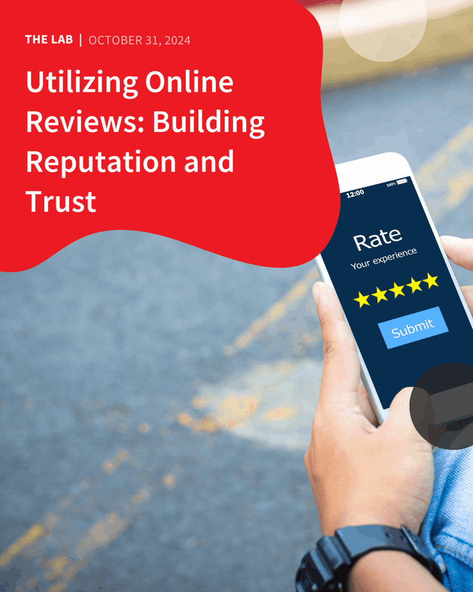 Utilising Online Reviews: Building Reputation and Trust